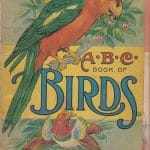 The A B C Book of Birds