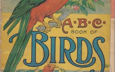ABC Book of Birds (1916) – High resolution downloads