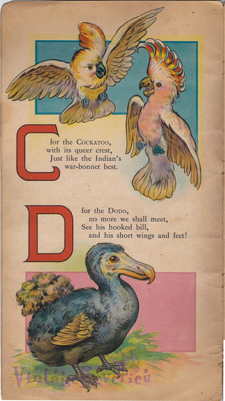 early 1900s dodo illustration