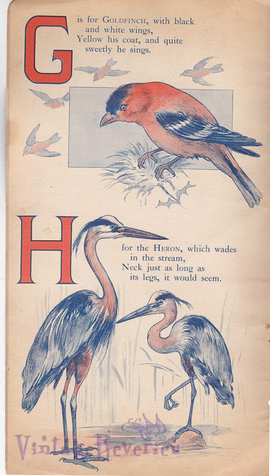 illustrated childrens book early 1900s