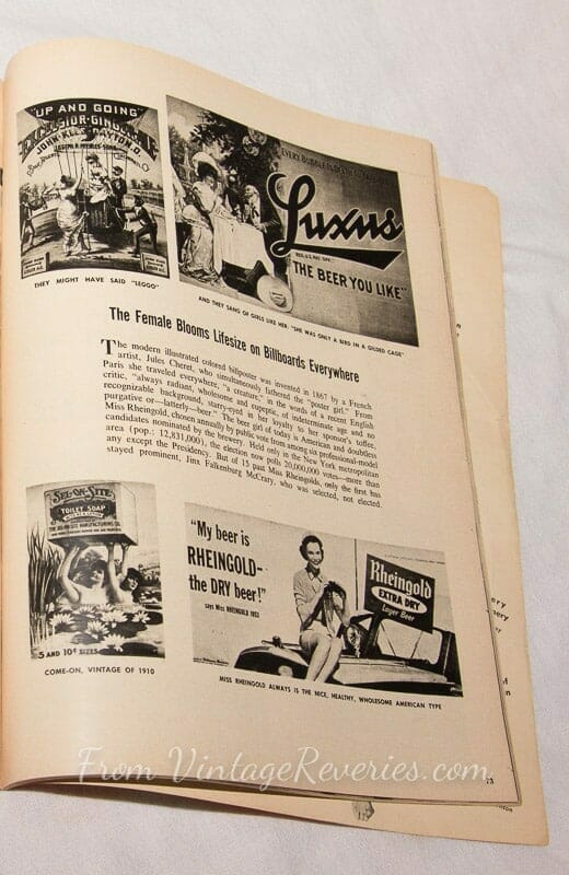 Pinups on billboards, book covers, and record covers.