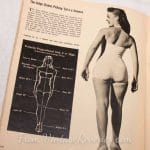 History of Beauty Contests and the Ideal Female Measurements of the 1950s