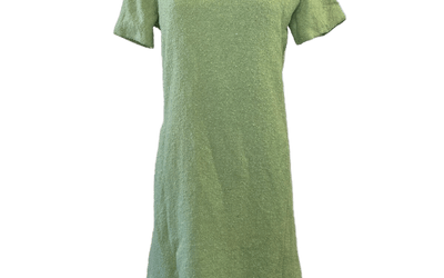 Pastel green dress – vintage 1960s shift dress- Larger size